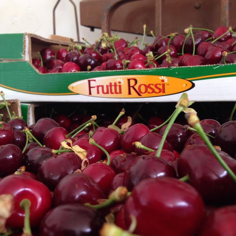 Agriturismo Fruttirossi Trofarello ภายนอก รูปภาพ