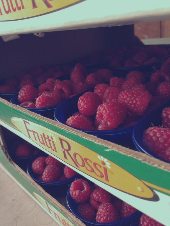 Agriturismo Fruttirossi Trofarello ภายนอก รูปภาพ