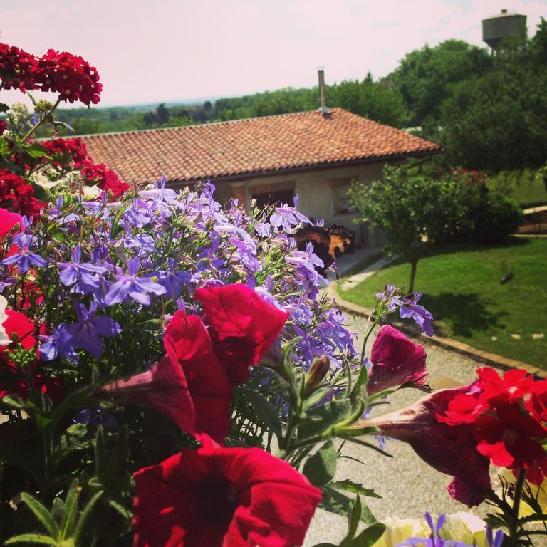 Agriturismo Fruttirossi Trofarello ภายนอก รูปภาพ